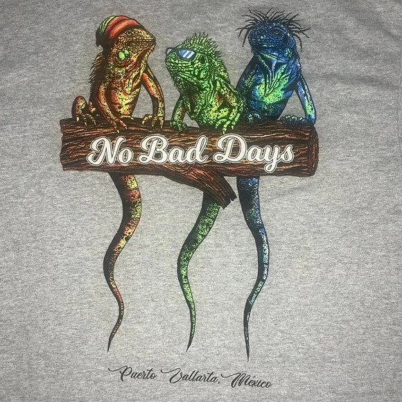 Puerto Vallarta, Mexico “No Bad Days” Colorful Geckos T-Shirt, Size M - Picture 5 of 7
